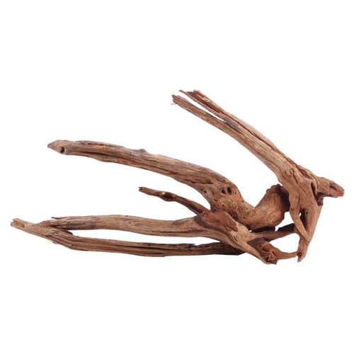 Driftwood flußwurzel - driftwood,