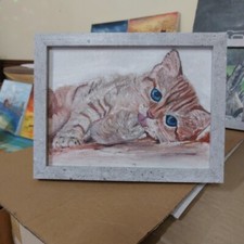  Quadro Dipinto gatto Gattino