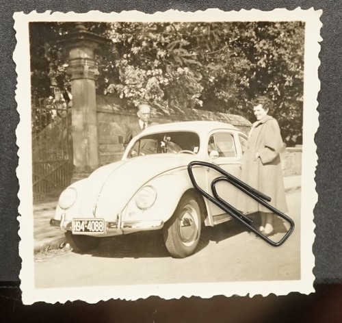 Foto ritratto donna - , vw
