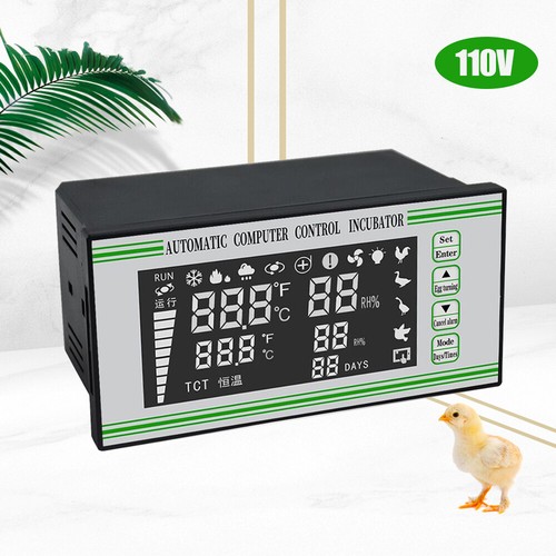 Regolatore incubatrice uova - incubatrice,