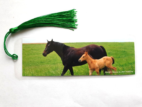 Segnalibro puledro cavallo