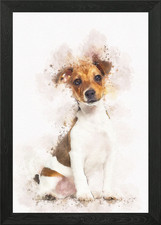 Jack russell terrier cucciolo