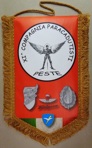 Gagliardetto compagnia - "11°,