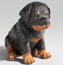 Statua cane Rottweiler statua
