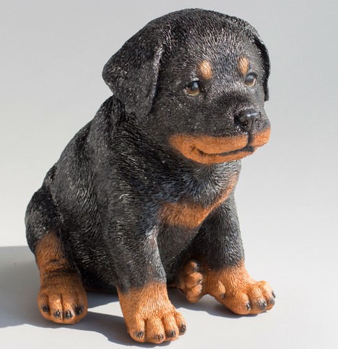 Statua cane rottweiler - statua,