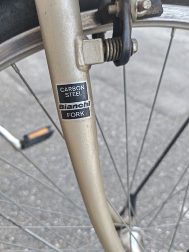 Bicicletta donna