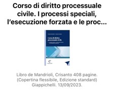 Corso di diritto processuale