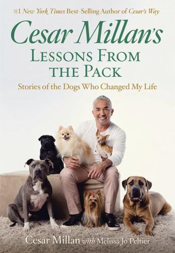 Cesar millan lessons - lessons, from