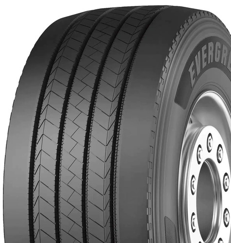 Gomme estive evergreen 445 - gomme, 445/45