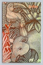 Ham Radio QSL V31AM Belize 2011 CW 24,9 MHz Wildlife Art Card