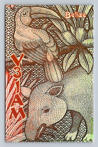 Ham radio qsl v31am - ham,