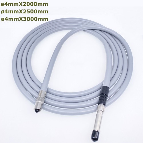 Endoscopio sorgente luminosa