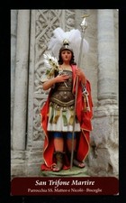 1797 Santino San Trifone Martire da Bisceglie - Barletta-Andria-Trani