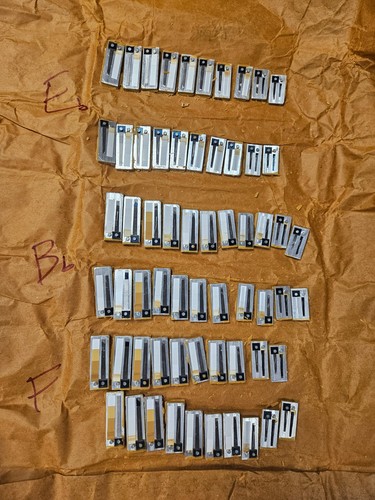 Set canna fisarmonica italiana