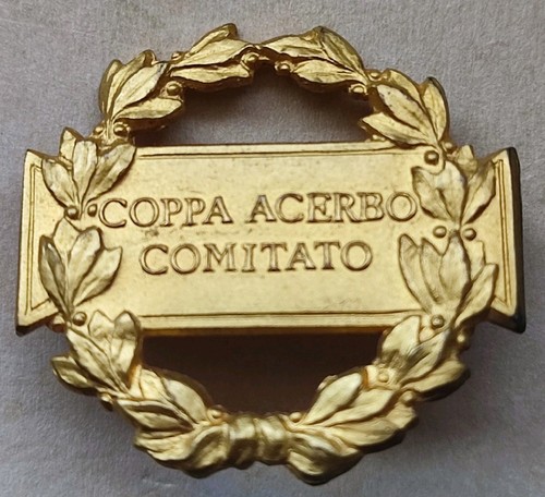 Distintivo coppa acerbo - coppa,