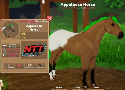 Wild horse islands - islands, buckskin