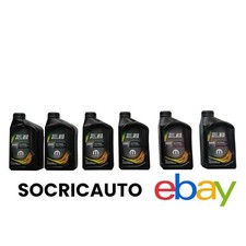 6 Litri Olio Motore  Selenia