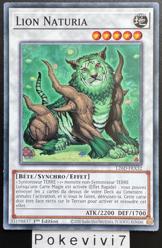 Carte lion naturia - carte,