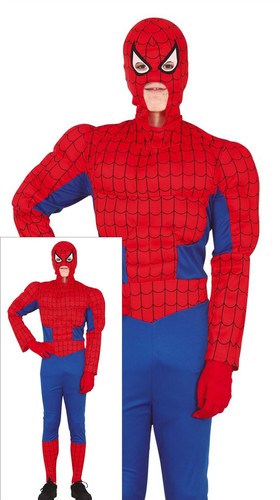 Guirca costume spiderman - costume,