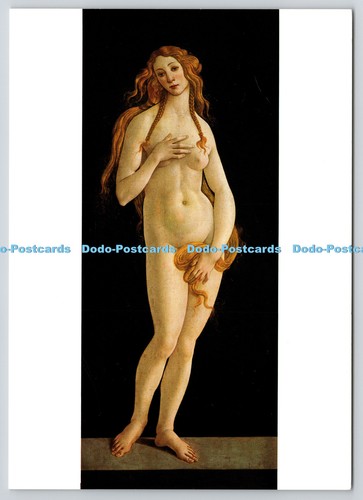 L370126 sandro botticelli - l370126,