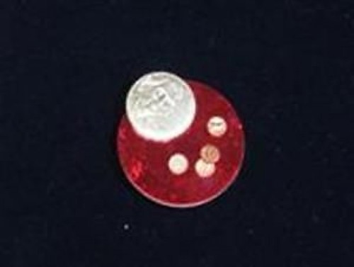 Moneta divisa giochi - moneta,