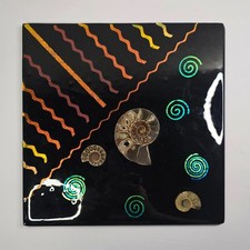 Piastrella Joanne Hiscox Sedona vetro fuso arte fossile 12” intarsio ammonite moderna