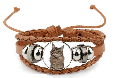 Maine coon cat pet brown - coon,