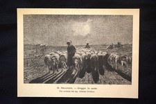 Segantini greggie in moto - segantini,