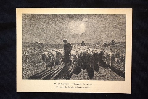 Segantini greggie in - greggie, moto