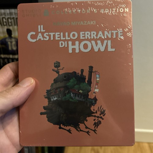 Castello errante howl - il,