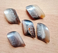 lotto 5 BOTTONI ovale