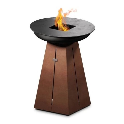 Barbecue legna con piastra - barbecue,
