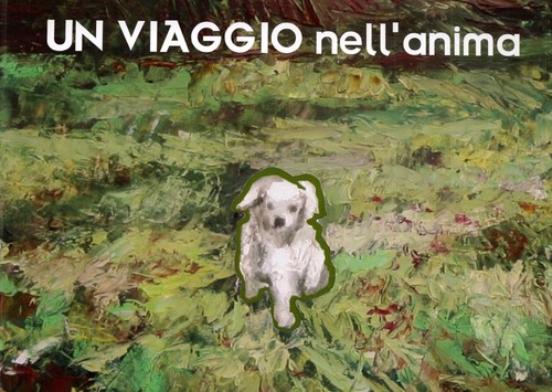 Schiaroli giovanni marche - schiaroli,