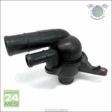 Termostato Acqua Meat Per Mg