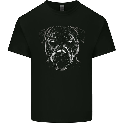 Pitbull monocromatico cane - un,