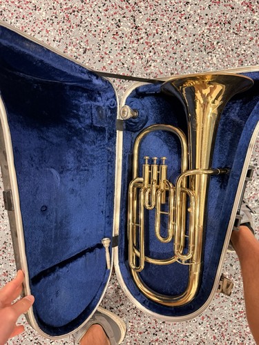 Strumento amati kraslice - strumento,
