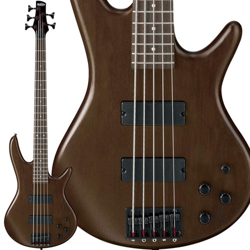 Ibanez gsr205b wnf - 5, corde