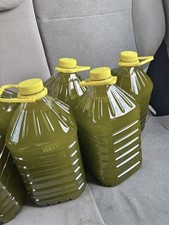 5 litri Olio extravergine di oliva Siciliano NUOVA MOLITURA 2025 Biancolilla