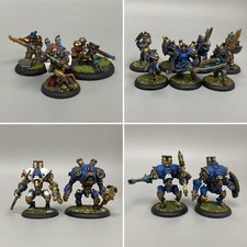 WARMACHINE HORDES CYGNAR