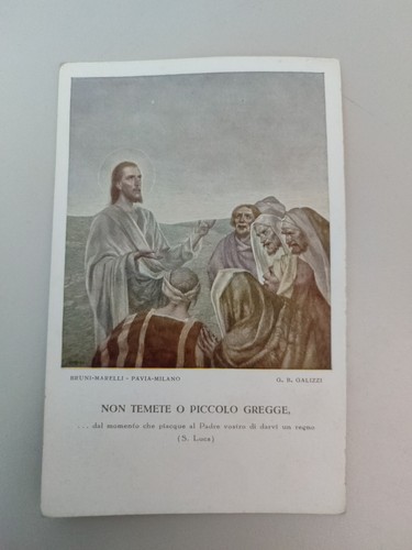 Non temere piccolo - non, gregge