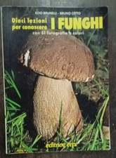 DIECI LEZIONI PER CONOSCERE I FUNGHI - EZIO BRUNELLI - BRUNO CETTO    AA