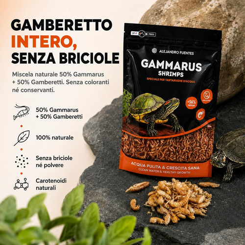 Mangime gamberetti per - mangime,