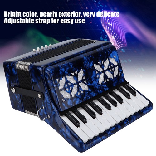 Fisarmonica colori luminosi - fisarmonica,