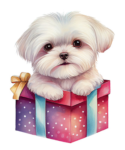 Adesivo auto maltese cani