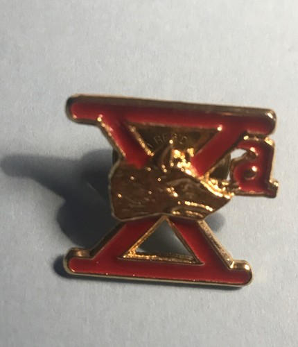 Spilla pin decima flottiglia - ,