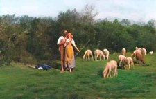 Pasquale Celommi foto A4