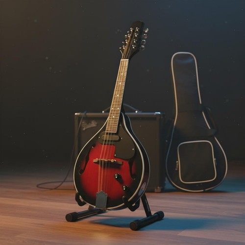 Mandolino equalizer elettrico - mandolino,