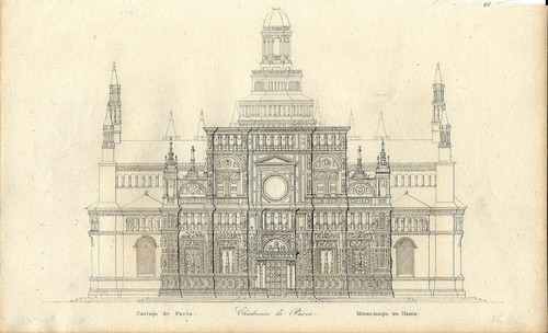 Stampa antica pavia veduta - stampa,