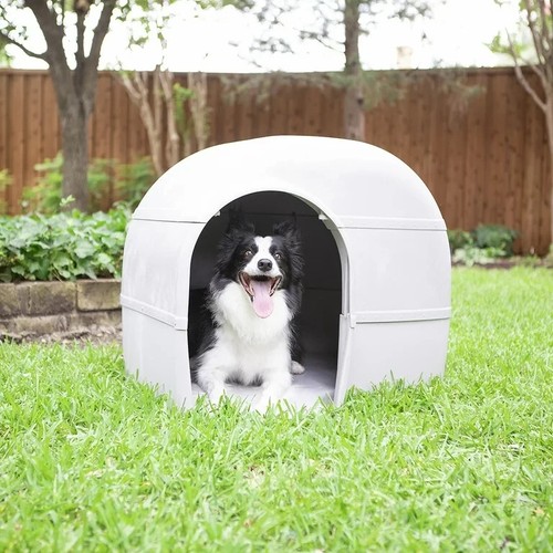 Cuccia per cani animali