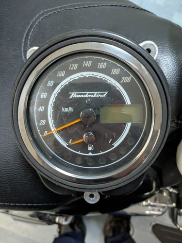 Tachimetro triumph thunderbird - triumph,